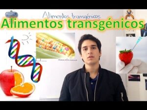 Joven presentador frente a una pizarra blanca con el texto "Alimentos transgénicos" y varias imágenes alusivas alrededor —una hélice de ADN colorida, una mazorca de maíz con granos multicolores, una fresa siendo pinchada con una jeringa y frutas cortadas— ilustrando una explicación visual sobre Ventajas y desventajas de los alimentos transgénicos y su impacto