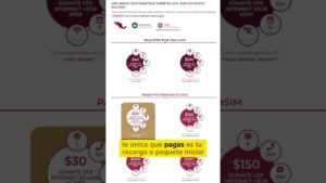 Imagen de un folleto vertical de CFE que promociona paquetes eSIM y tarjetas SIM sin costo con íconos de datos, minutos y cobertura, secciones de paquetes por días y mensuales y un recuadro amarillo que afirma "lo único que pagas es tu recarga o paquete inicial", Ventajas y desventajas del chip CFE: descubre si vale la pena usarlo