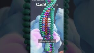 Ilustración tridimensional de una doble hélice de ADN con bases coloreadas y la proteína Cas9 en azul posicionada para cortar la cadena, con textos superpuestos y subtítulos en español que explican la acción de corte y que invitan a considerar la edición genética y Ventajas y desventajas que podemos identificar en los OGM.