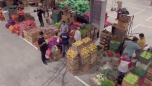 Vista aérea de un mercado mayorista en un amplio almacén con trabajadores que organizan cajones y sacos de frutas y verduras apiladas, cajas de madera con manzanas, bolsas de cebolla y puestos improvisados que reflejan logística, comercio local y actividad diaria — Ventajas y desventajas de la UAM: lo que la hace única y sus retos.