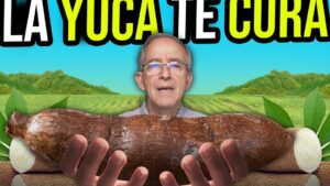 la yuca