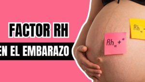 Fotografía de una mujer embarazada en primer plano mostrando su vientre con notas adhesivas manuscritas que indican Rh positivo y Rh negativo, la mano apoyada sobre la barriga y un fondo rosa con letras en negrita sobre el factor Rh en el embarazo, Ventajas y desventajas de ser Rh positivo que debes conocer