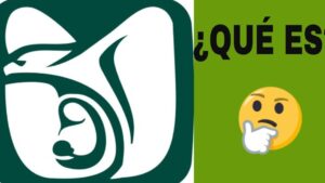 Imagen dividida con un logotipo cuadrado verde y blanco a la izquierda que muestra una figura estilizada que evoca a una madre con un niño y a la derecha un fondo verde con el texto "¿QUÉ ES" en negro y un emoji pensante, imagen relacionada con Sistema de salud de Canadá ventajas y desventajas clave