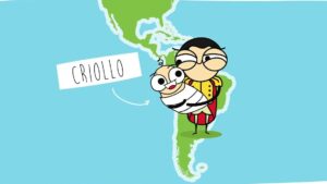Caricatura sobre un mapa de América que muestra en Sudamérica a un hombre con traje colonial sosteniendo a un bebé envuelto junto a una etiqueta que dice CRIOLLO, Grupo social criollos ventajas y desventajas: poder y limitaciones.